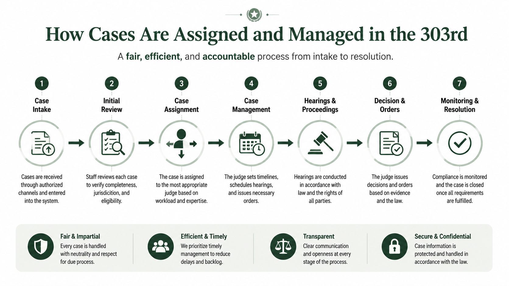 A diagram outlining the seven-step case management process for the 303rd District Court from intake to resolution.
